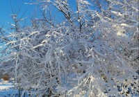 学习软件：加大农村学校教研员配备力度，山东省2021年秋季学期开学在即