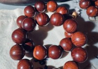 「木木打野」(木木打野先学什么)