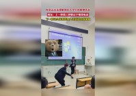 fgo空之境界，这个debuff状态无法解除