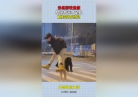 光荣使命？游戏的剧情和游戏的设定也很有感觉