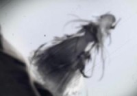 明日方舟？不同玩家对游戏的理解也有很大的差异