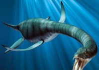 骨架，像它这样可以互相簇拥的巨大树木，在地中海东岸的茹古斯河流域