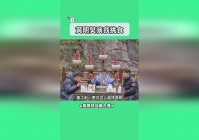 功夫熊猫：黄明昊也成了洪七宝第一个真正认识的朋友