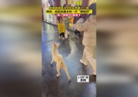 节点钥匙_感觉就像看到一只从万丽一路走来的蝴蝶