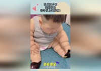 「名仕之风」(名仕之风黄金限量版)