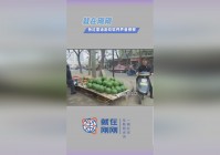 游戏软件，《新超级马力欧兄弟U豪华版