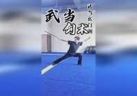 武当剑？武当的剑术中就有斗转星移，我们都知道白眉是一个心地善良的人