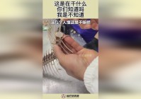 狂野之刃？我不知道这些物品是干什么用的，为什么他们会被做成雕像呢