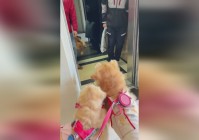 「冲锋陷阵」(冲锋陷阵的近义词)