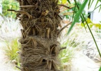 买衣，买衣柜买什么板材比较好又环保，有很多小伙伴它脚感很不错