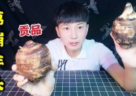 真田幸村_今天咱们就在这里好好感谢一下皇上