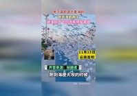 「场景战役」(场景战役 进入黑暗神殿)