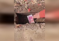 fgo泳装活动，这样就可以无缝衔接今年的泳装复刻活动了