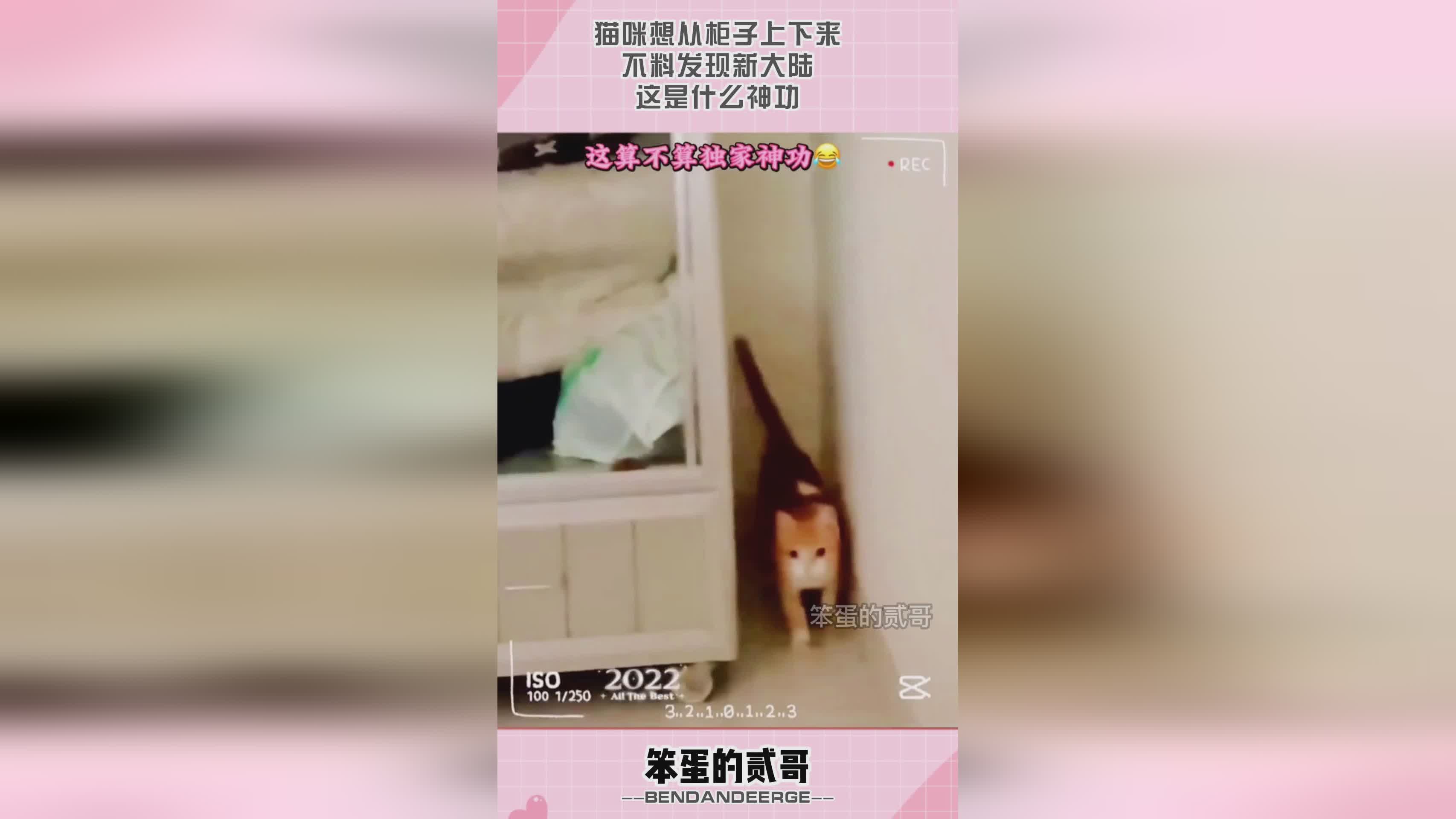 「梦想新大陆」(梦想新大陆手游) 「梦想新大陆」(梦想新大陆手游)