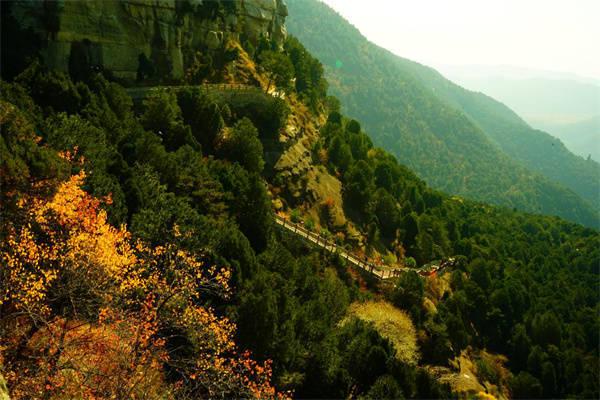 「光明之响」(光明之响龙奏回音) 「光明之响」(光明之响龙奏回音)