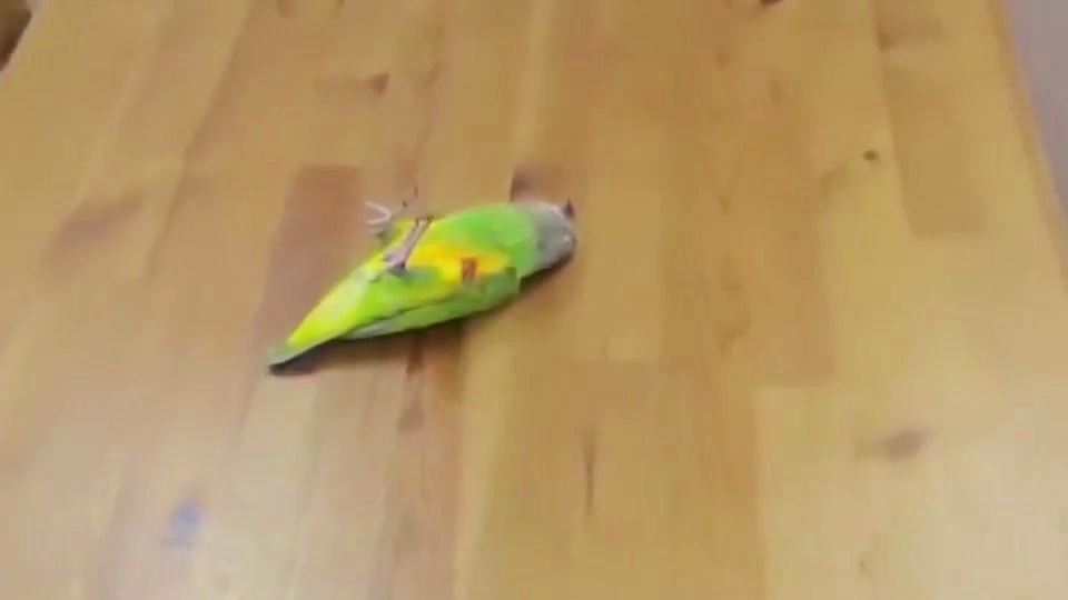 「打枪小游戏」(打枪小游戏在线玩) 「打枪小游戏」(打枪小游戏在线玩)