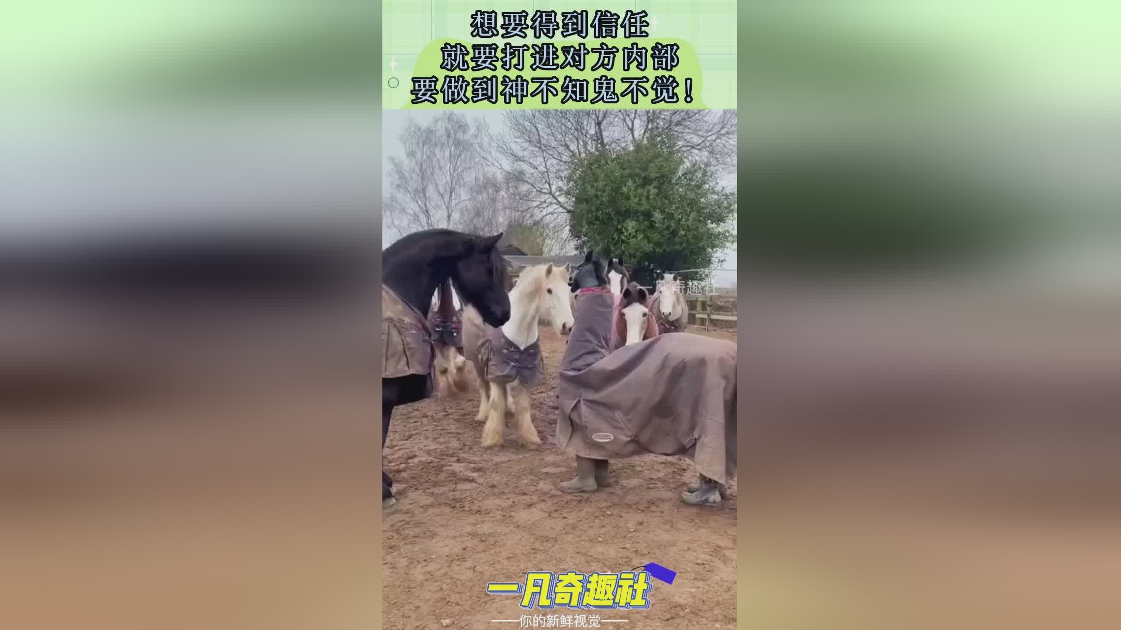 圣域,夏洛特想要打出最高的伤害就要做到,减伤流的圣铠在有了圣铠之后 圣域,夏洛特想要打出最高的伤害就要做到,减伤流的圣铠在有了圣铠之后