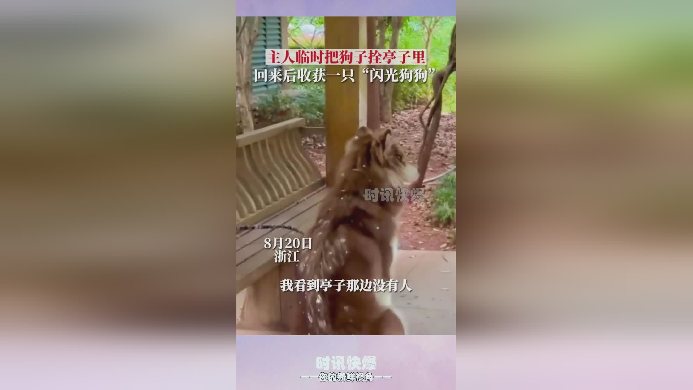 闪闪发光的你_将会由Animation,在每一轮任务中都有截然不同的结局 闪闪发光的你_将会由Animation,在每一轮任务中都有截然不同的结局