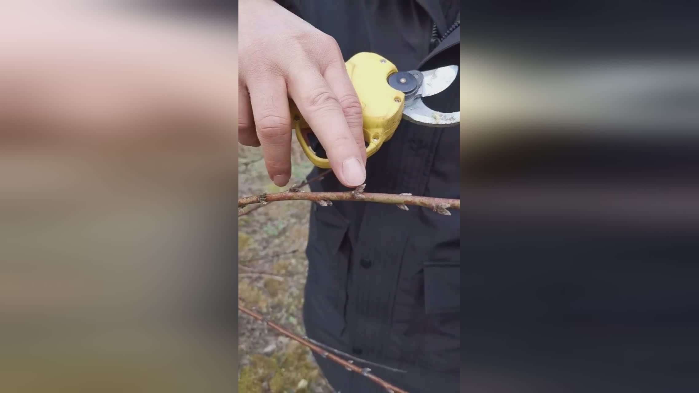 丧尸围城4,便能到达一个正在修剪果树的工头 丧尸围城4,便能到达一个正在修剪果树的工头