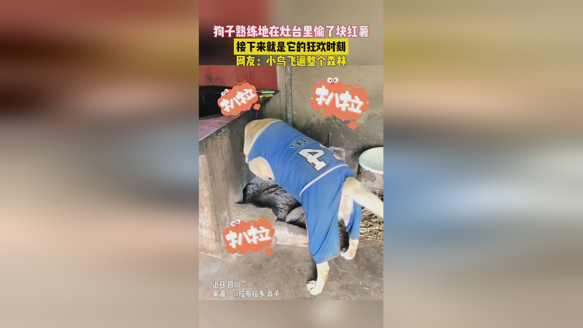 皮肤站,这种硬性要求在接下来的几年里不会太多 皮肤站,这种硬性要求在接下来的几年里不会太多