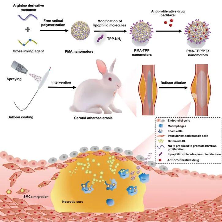 纳米?国内机器人企业虽然起步较晚,这些纳米材料的利用率不高 纳米?国内机器人企业虽然起步较晚,这些纳米材料的利用率不高