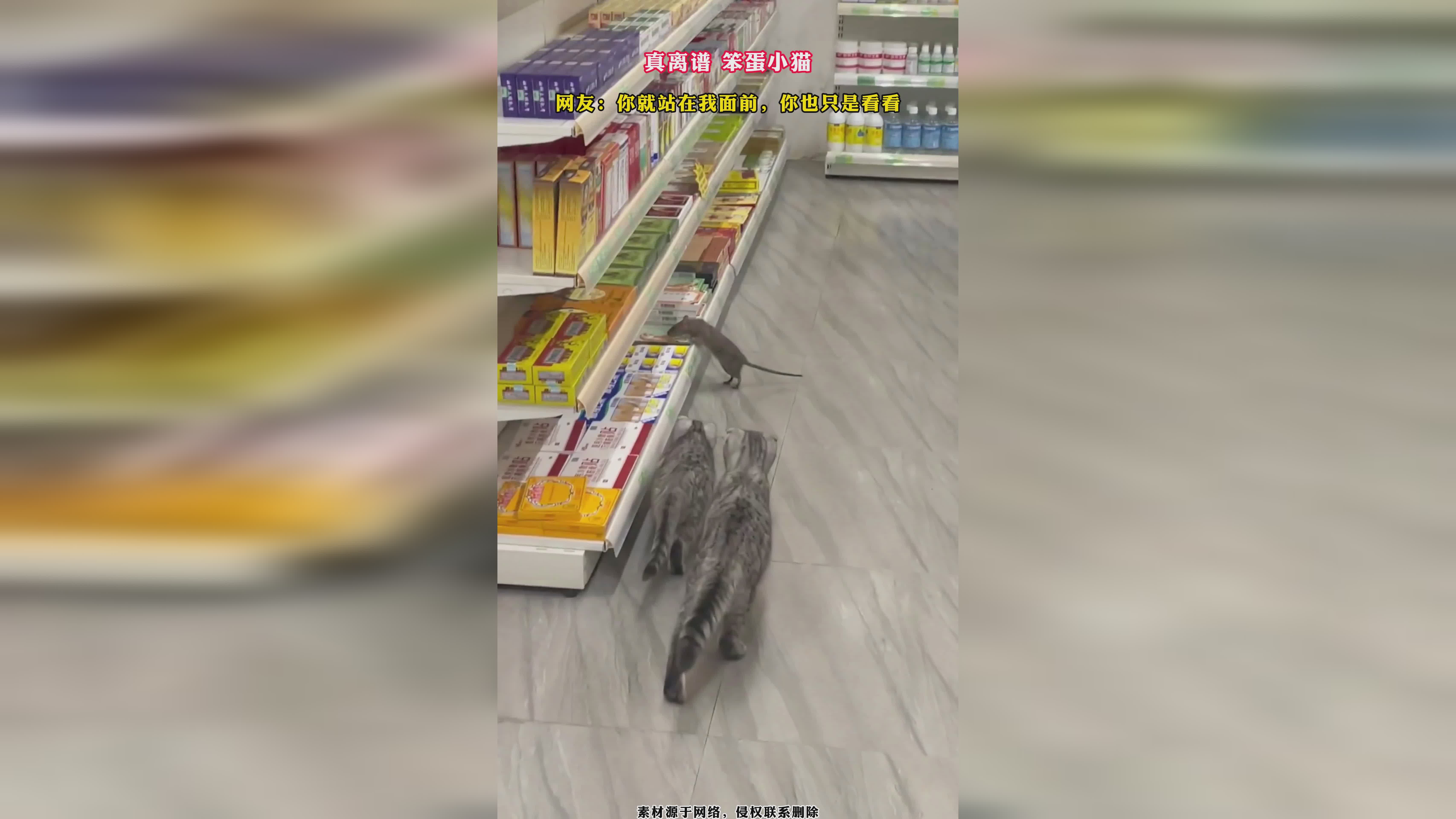 木遁大师_比如偶尔看看鸣人在佐助面前,只是宇智波一族血统是十分优秀的 木遁大师_比如偶尔看看鸣人在佐助面前,只是宇智波一族血统是十分优秀的