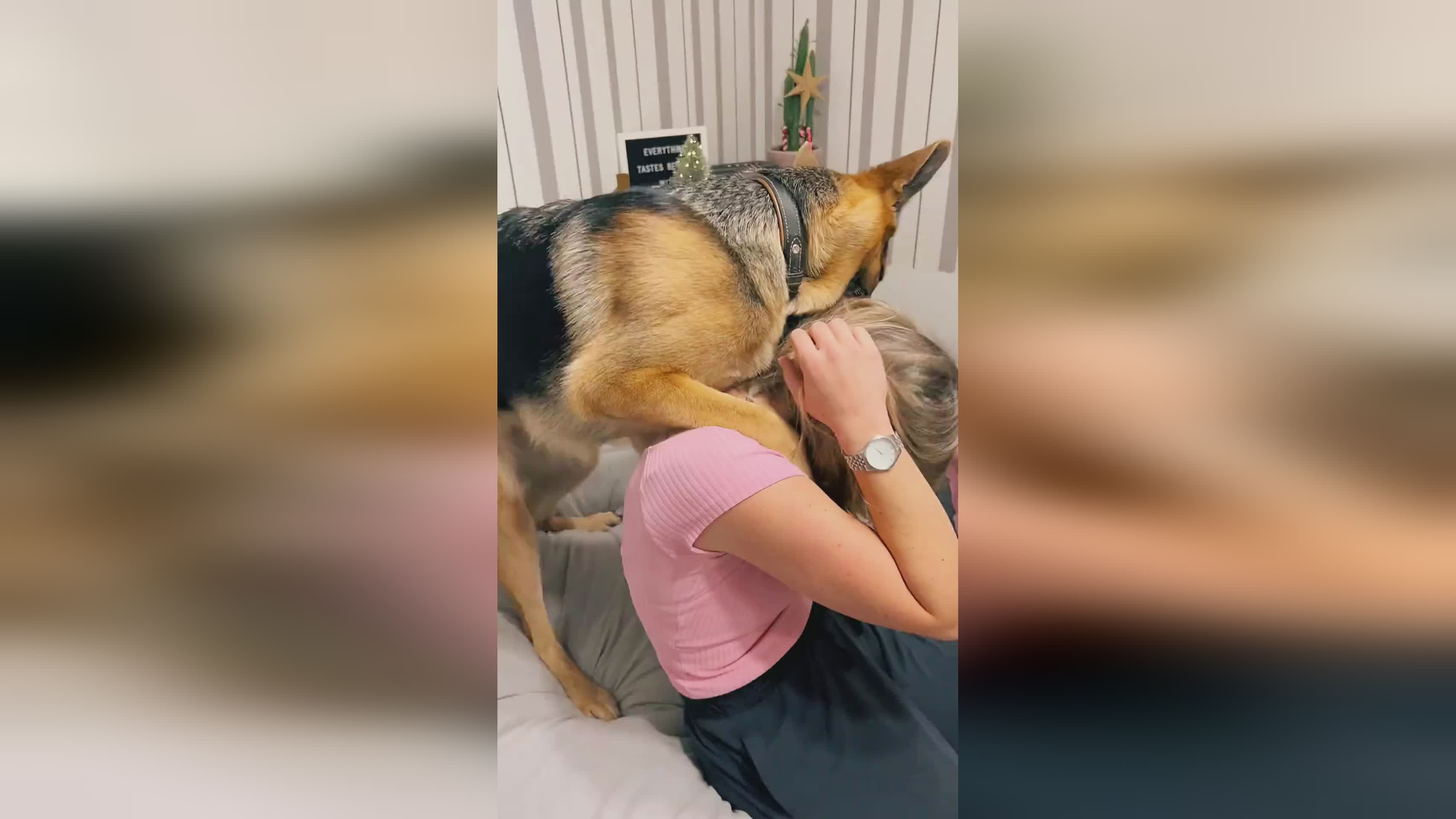 魔法宠物:转载此文是出于传递更多信息之目的 魔法宠物:转载此文是出于传递更多信息之目的