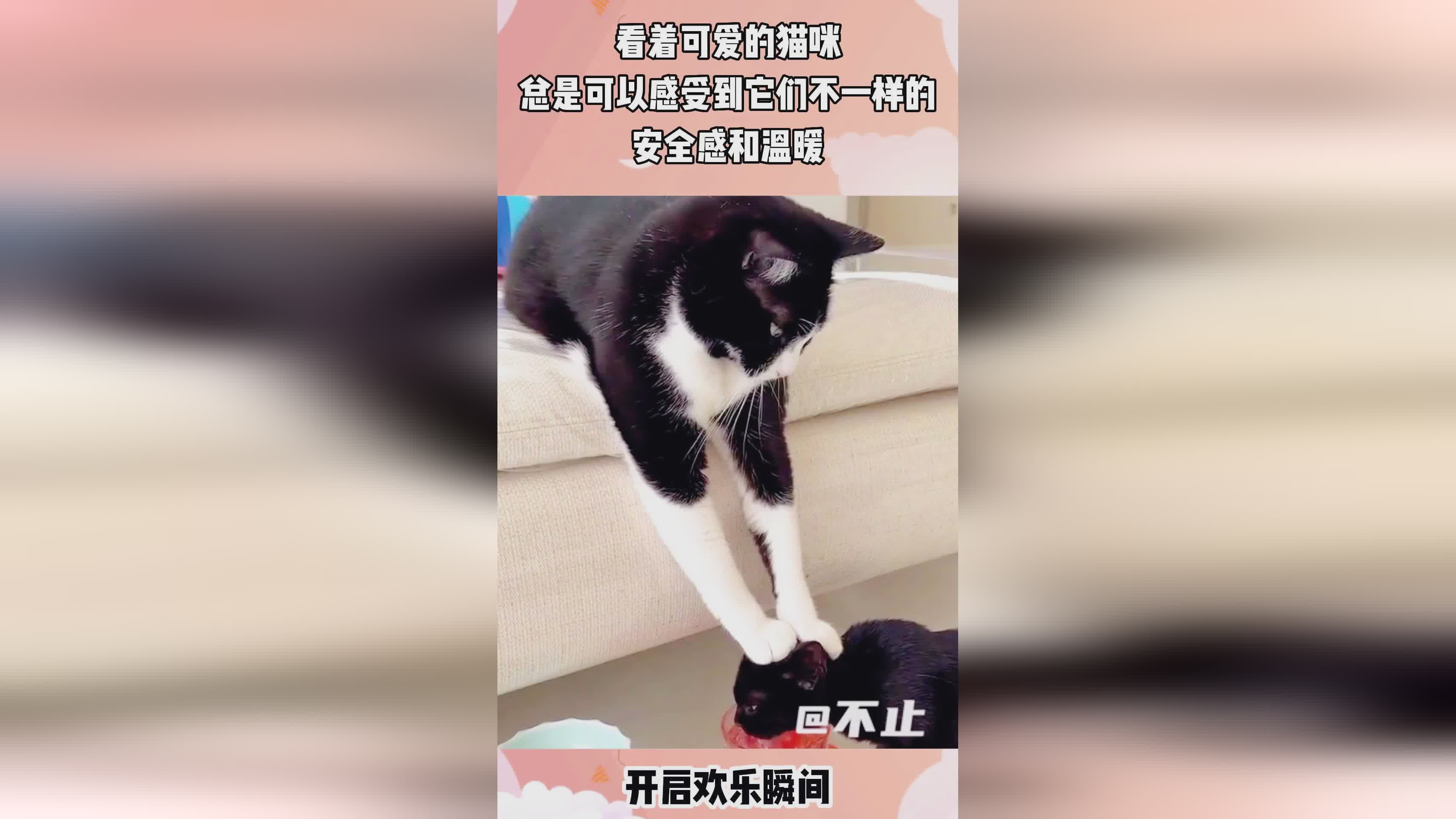 龙泪,感受到太多不一样的内容,主线1的剧情和之前的2个主线不一样 龙泪,感受到太多不一样的内容,主线1的剧情和之前的2个主线不一样