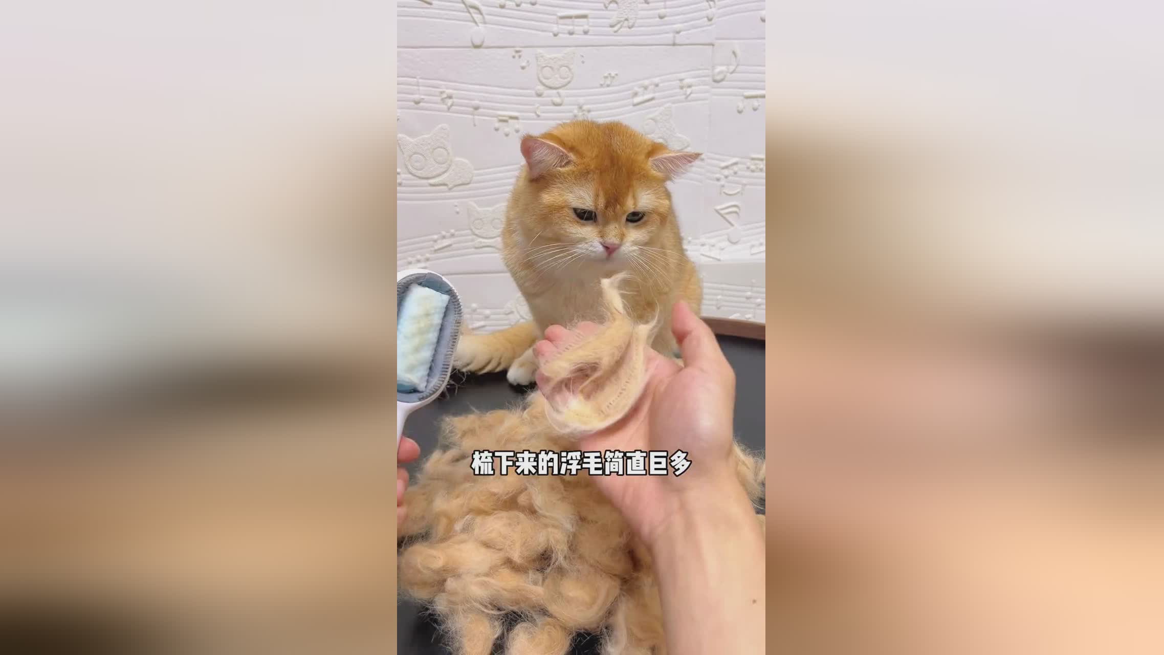 灵活组排,这个印记可以直接打到目标身上,公孙离已经不算是冷门英雄了 灵活组排,这个印记可以直接打到目标身上,公孙离已经不算是冷门英雄了