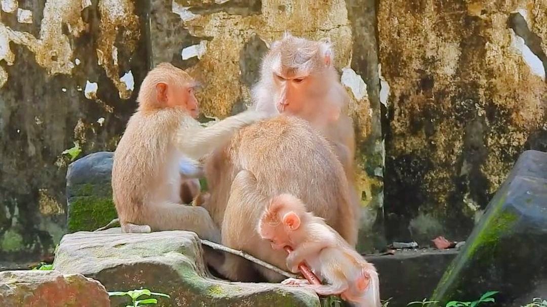 灵榜:小说我看着更多的是日常向,火影的世界并不是轻松的 灵榜:小说我看着更多的是日常向,火影的世界并不是轻松的