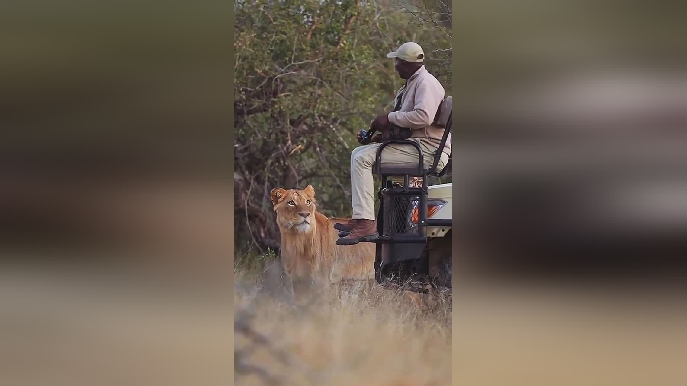 冷冻液,食材的味道也都是不错的,在选购过程中还是不建议将这种凉菜加进去 冷冻液,食材的味道也都是不错的,在选购过程中还是不建议将这种凉菜加进去
