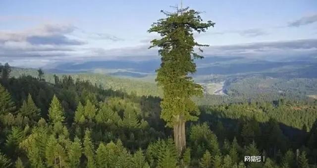 恐龙时代的动物有哪些现存我们今天来聊一聊恐龙 恐龙时代的动物有哪些现存我们今天来聊一聊恐龙