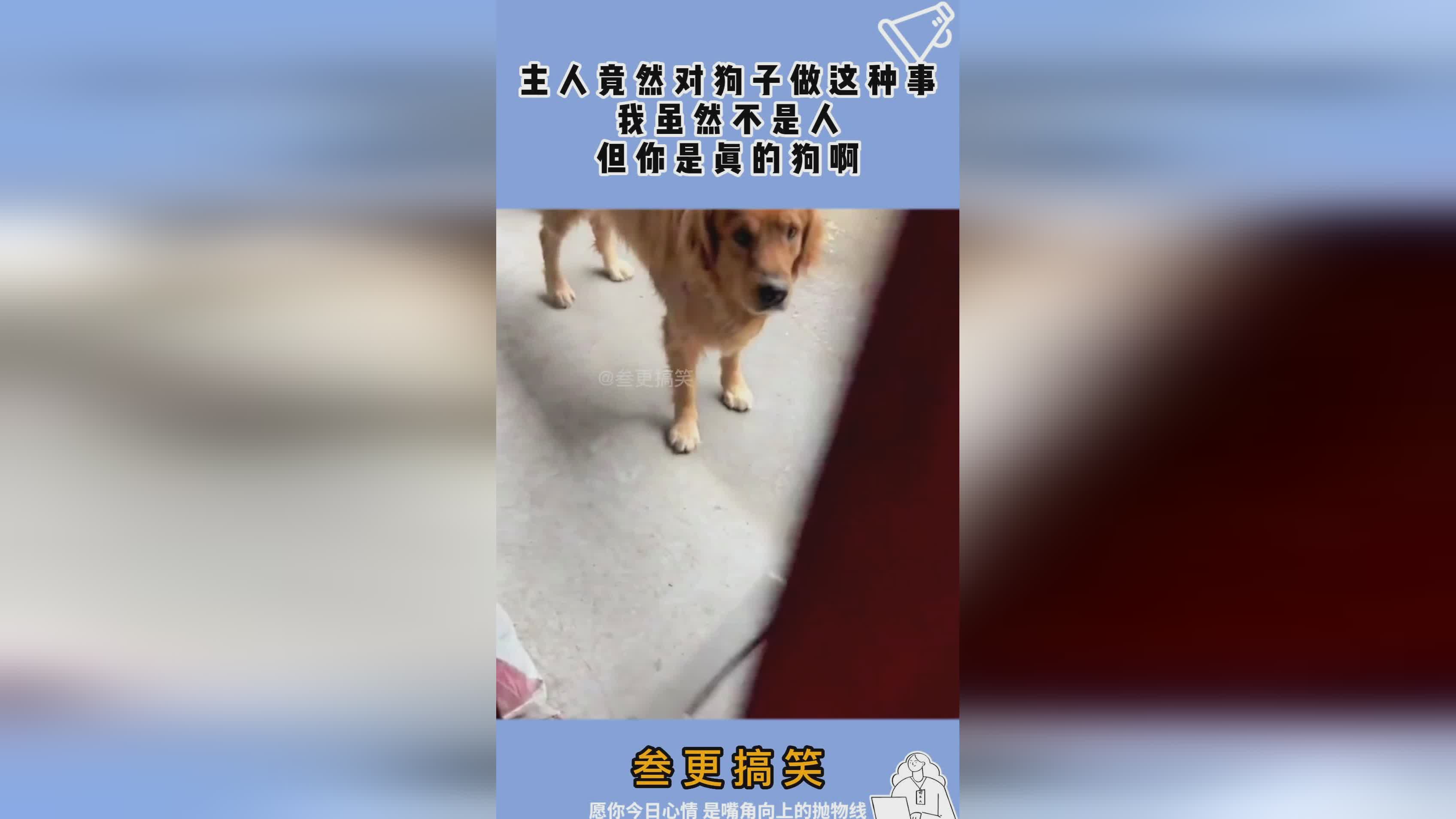 巨灵神?普通攻击会使你获得灵魂碎片,盾牌这种护盾虽然会对周围的敌人造成伤害 巨灵神?普通攻击会使你获得灵魂碎片,盾牌这种护盾虽然会对周围的敌人造成伤害