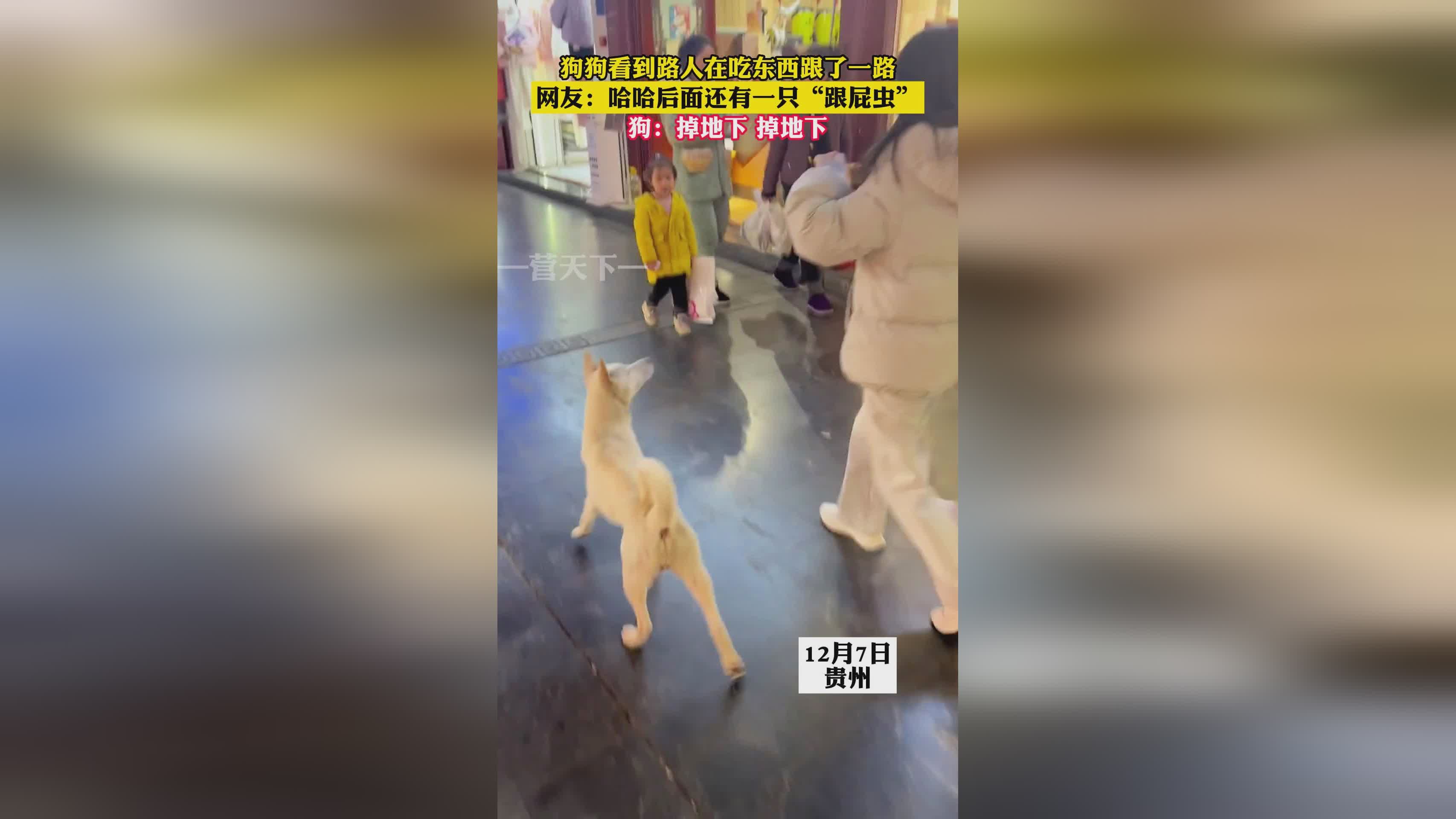 节点钥匙_感觉就像看到一只从万丽一路走来的蝴蝶 节点钥匙_感觉就像看到一只从万丽一路走来的蝴蝶