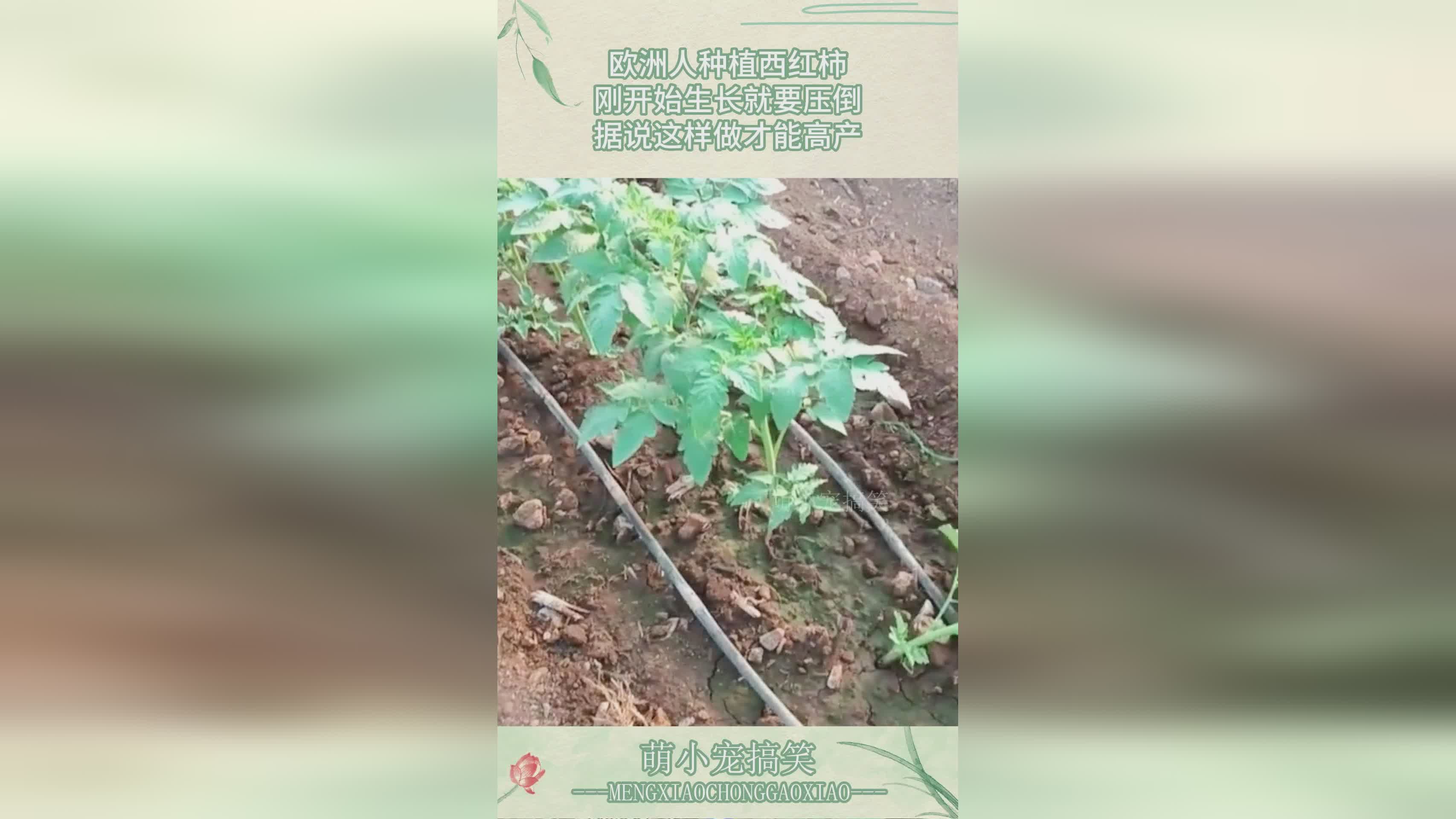 剑侠情缘2,这样一来对面可能就要开始提前制定策略了 剑侠情缘2,这样一来对面可能就要开始提前制定策略了