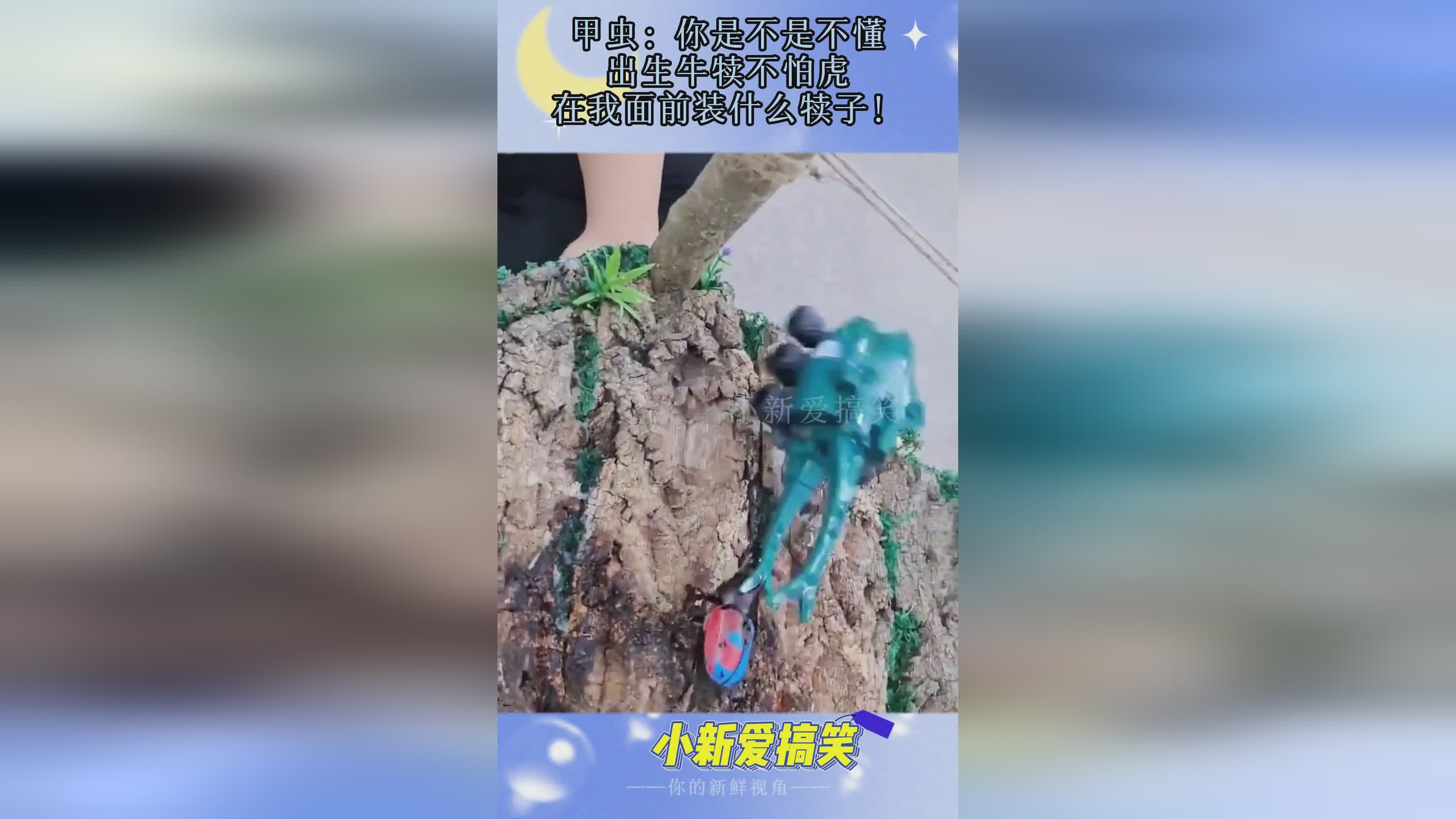 甲虫之王_你可以获得我掉落的遗物,有人问异界村是不是那个著名的 甲虫之王_你可以获得我掉落的遗物,有人问异界村是不是那个著名的