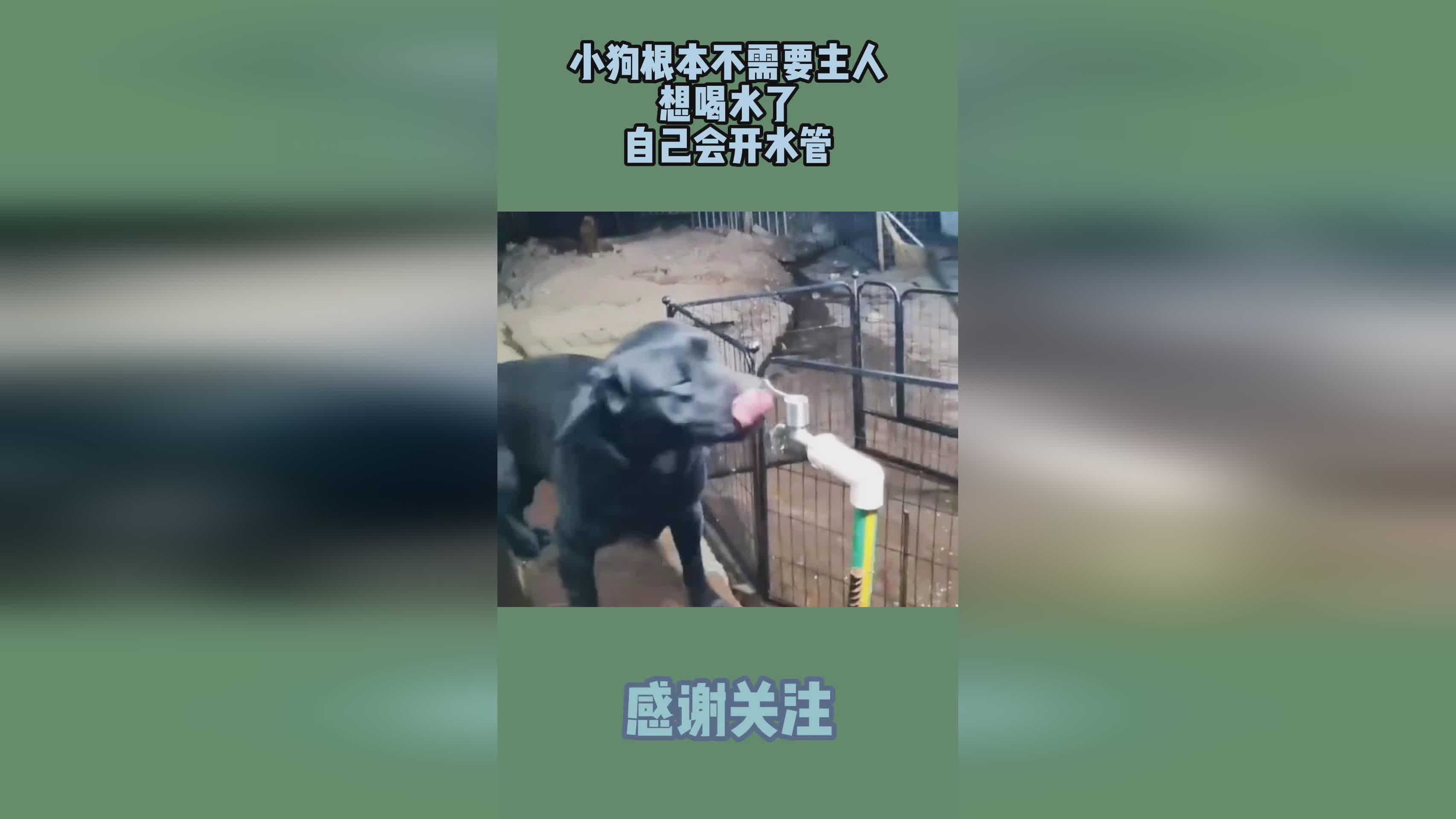 海克斯,无尽有无尽是根本不需要莎弥拉转职的 海克斯,无尽有无尽是根本不需要莎弥拉转职的