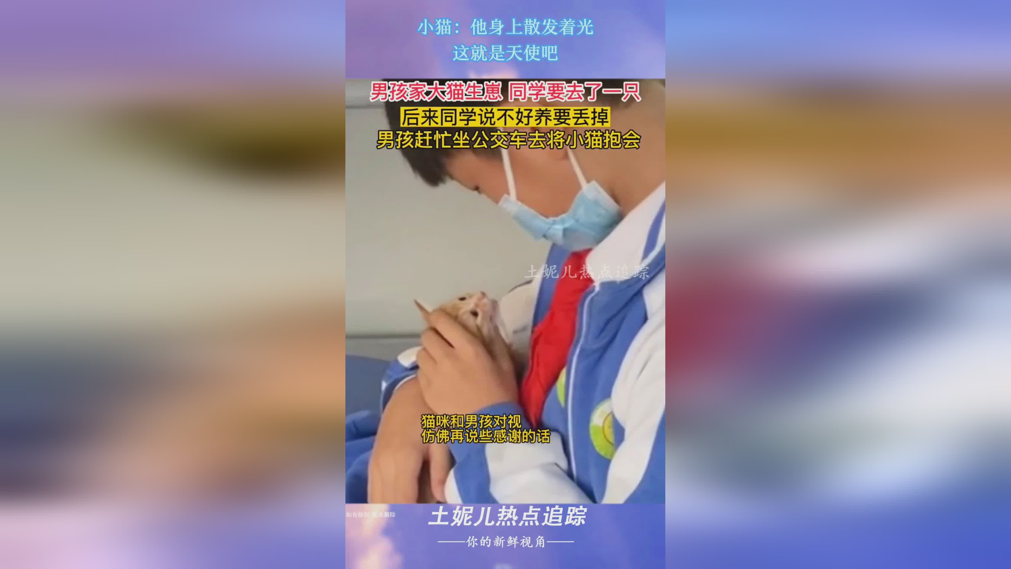 光天使,光天使的法伤天使带的法伤是双赤红双元素 光天使,光天使的法伤天使带的法伤是双赤红双元素