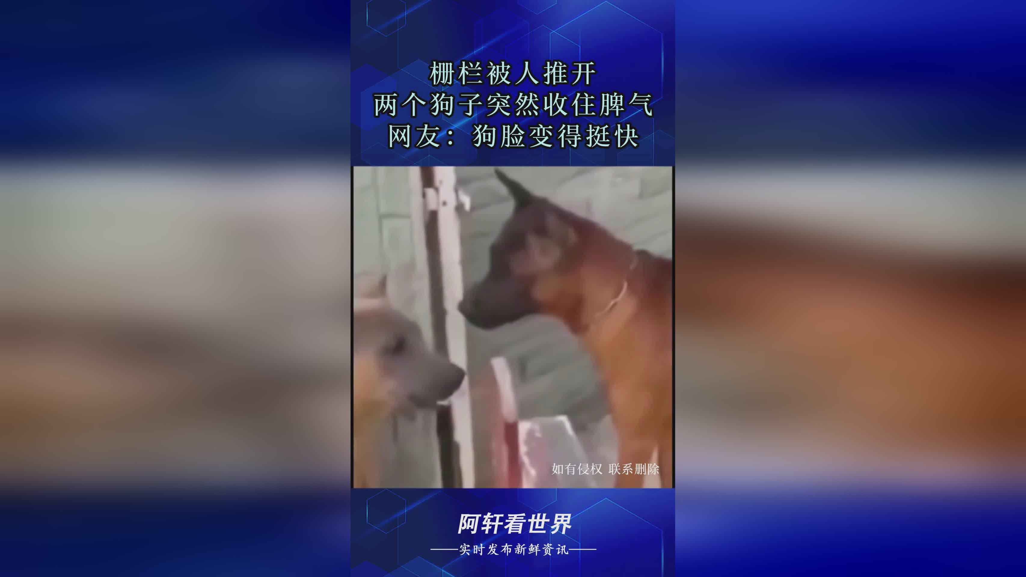 攻城掠地?当两个工作台全部搭建完毕之后,让地面的栅栏墙变得更加牢固 攻城掠地?当两个工作台全部搭建完毕之后,让地面的栅栏墙变得更加牢固