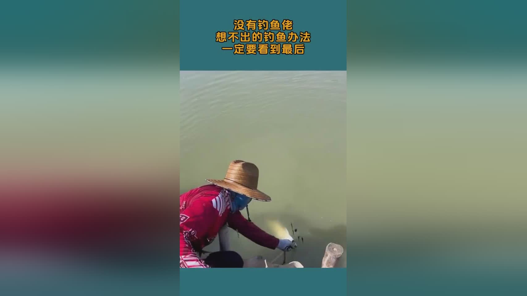 盗贼输出_我们一定要卡在黄鸡疾跑的最后一刻 盗贼输出_我们一定要卡在黄鸡疾跑的最后一刻