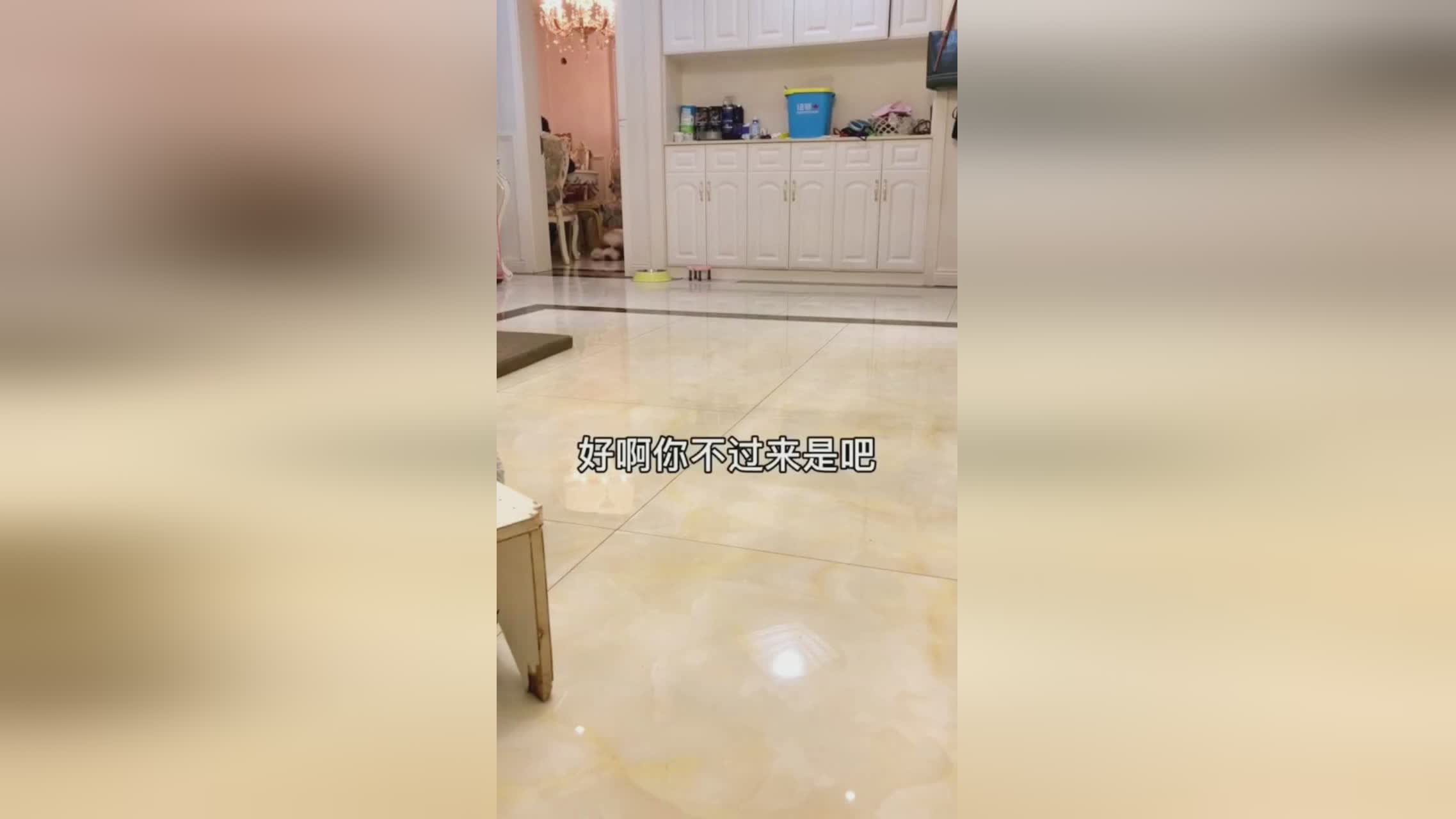 超执刀,使用该技能有一定几率召唤出隐形幻影 超执刀,使用该技能有一定几率召唤出隐形幻影