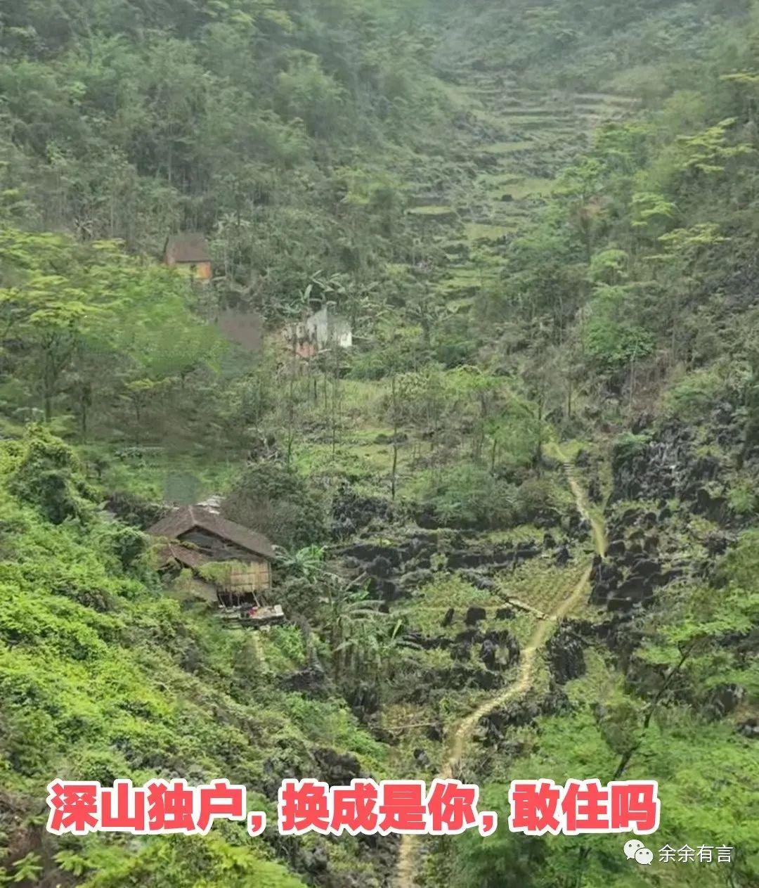 苍之骑士团?人们的生活变得十分的贫穷,最终紫箭逃出了荒无人烟的宫殿 苍之骑士团?人们的生活变得十分的贫穷,最终紫箭逃出了荒无人烟的宫殿