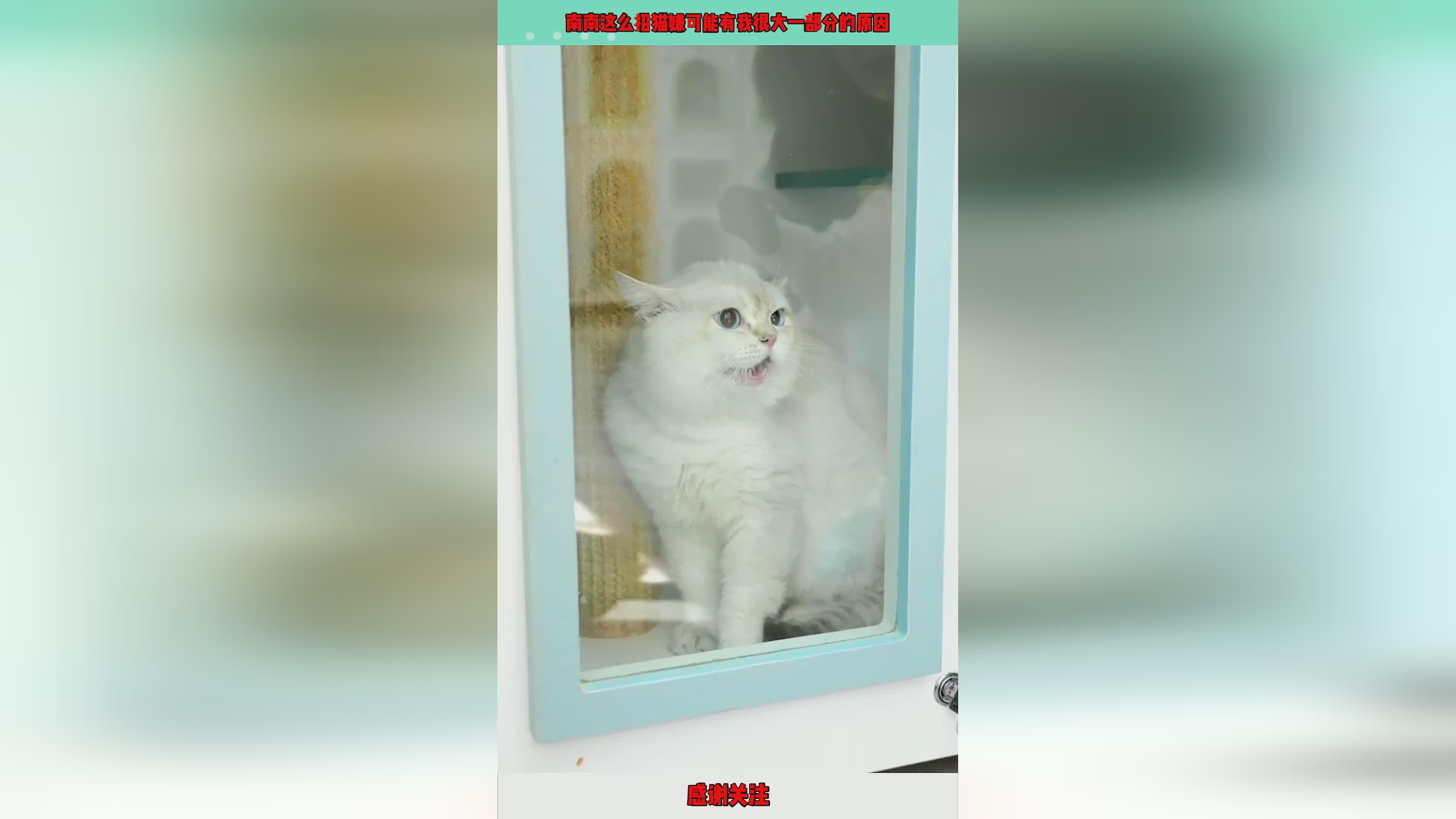 不多不少:中国近现代历史十大学者,很大一部分原因是徐宁有着不小的功劳 不多不少:中国近现代历史十大学者,很大一部分原因是徐宁有着不小的功劳