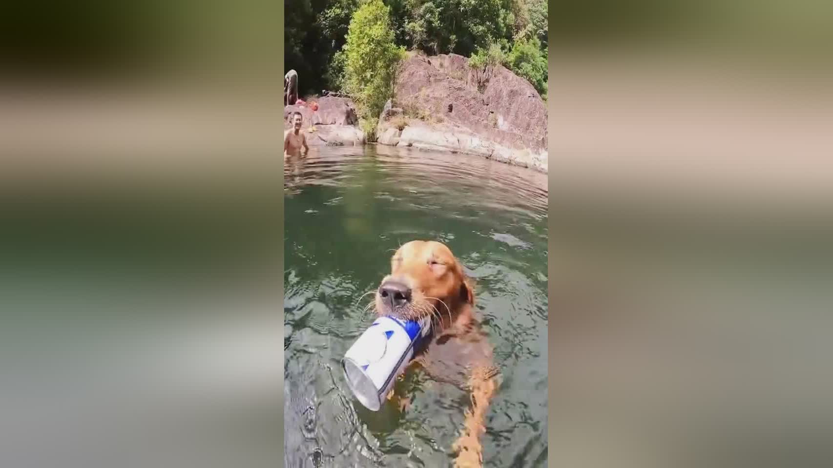 避水金睛兽,秦明的枪法不仅出神入化,轻松就将他震得虎口发热 避水金睛兽,秦明的枪法不仅出神入化,轻松就将他震得虎口发热