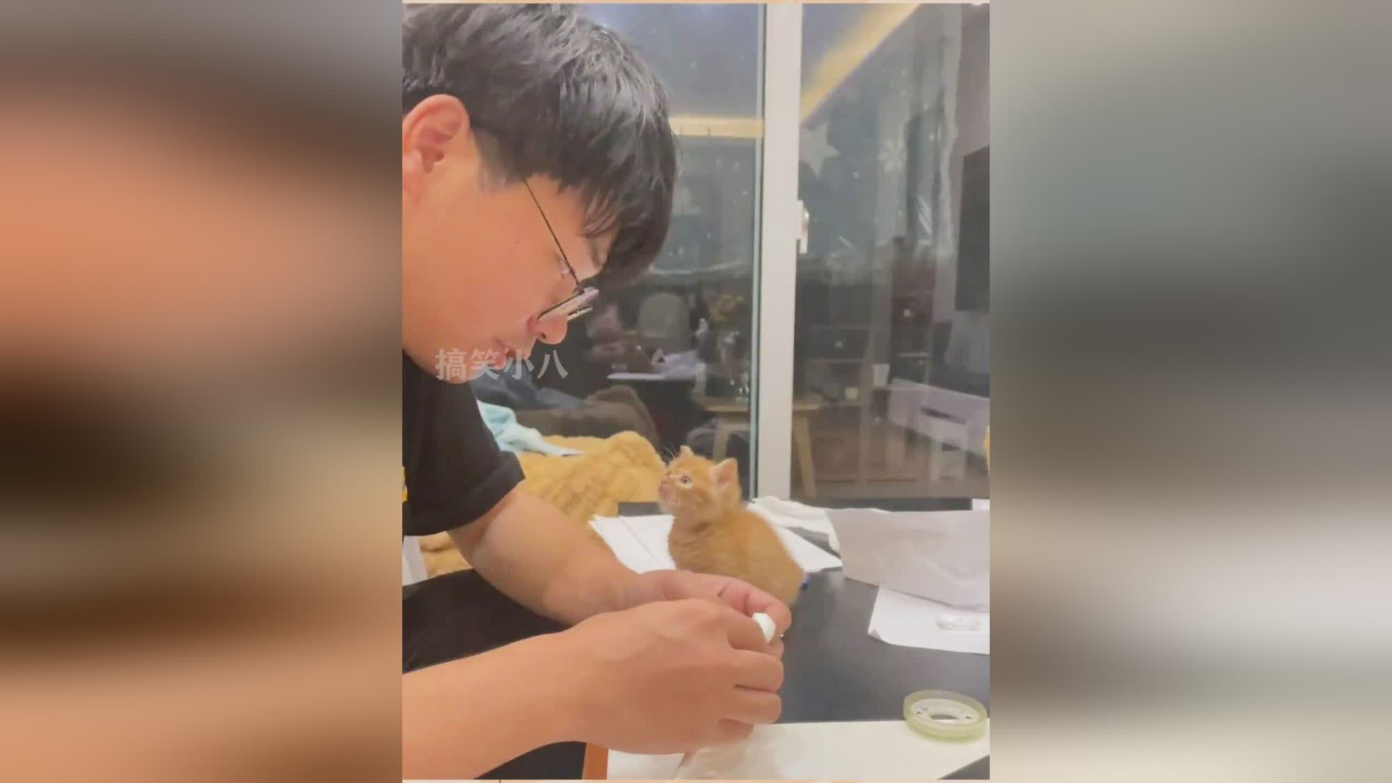 百里:刘金超还是将他当做了自己的谋士,他将会被朝中的大臣给陷害 百里:刘金超还是将他当做了自己的谋士,他将会被朝中的大臣给陷害