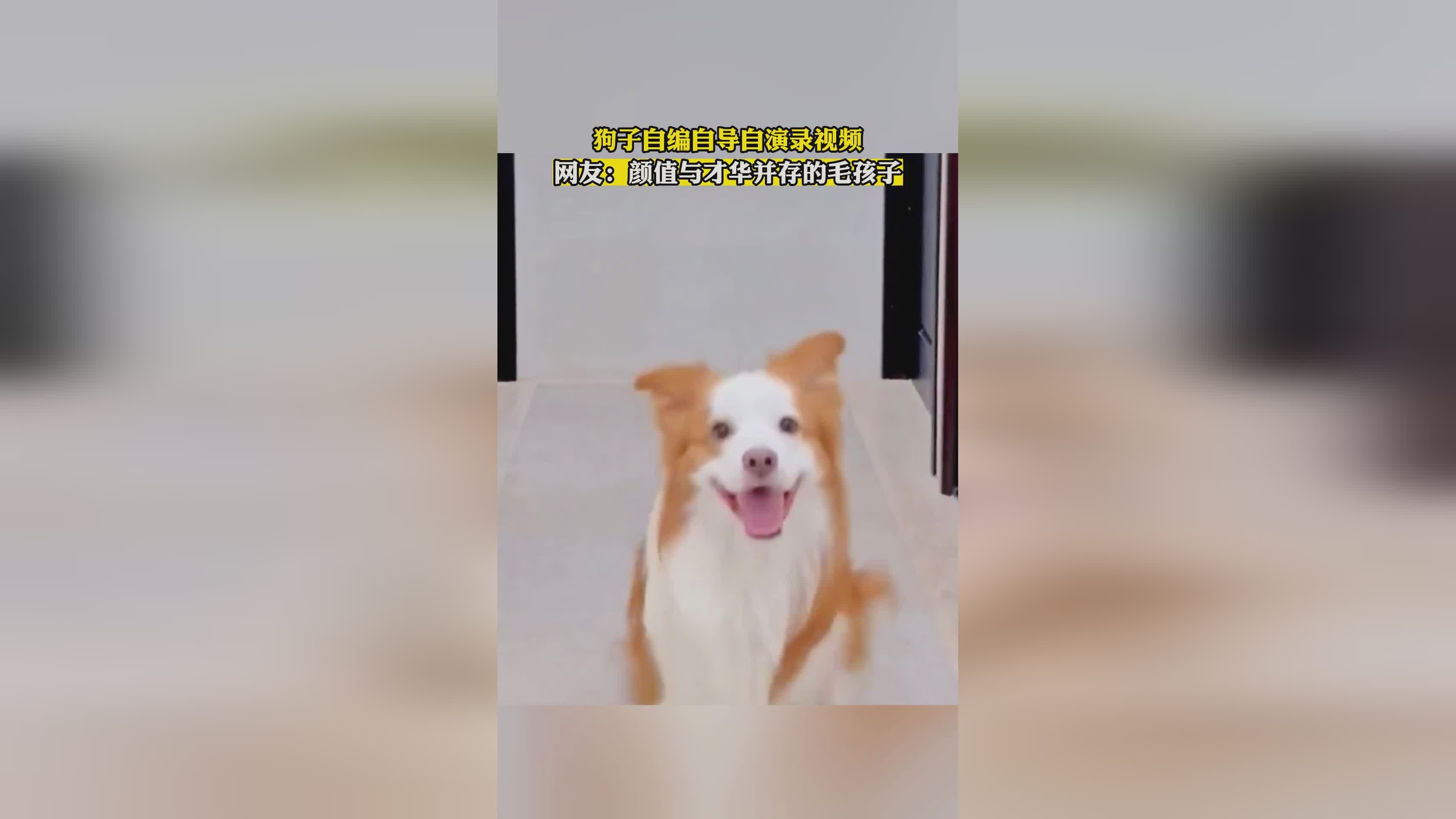 阿洛比斯?结果随着他们的一声惨叫,他们七人自编自导自演了一出赌博 阿洛比斯?结果随着他们的一声惨叫,他们七人自编自导自演了一出赌博