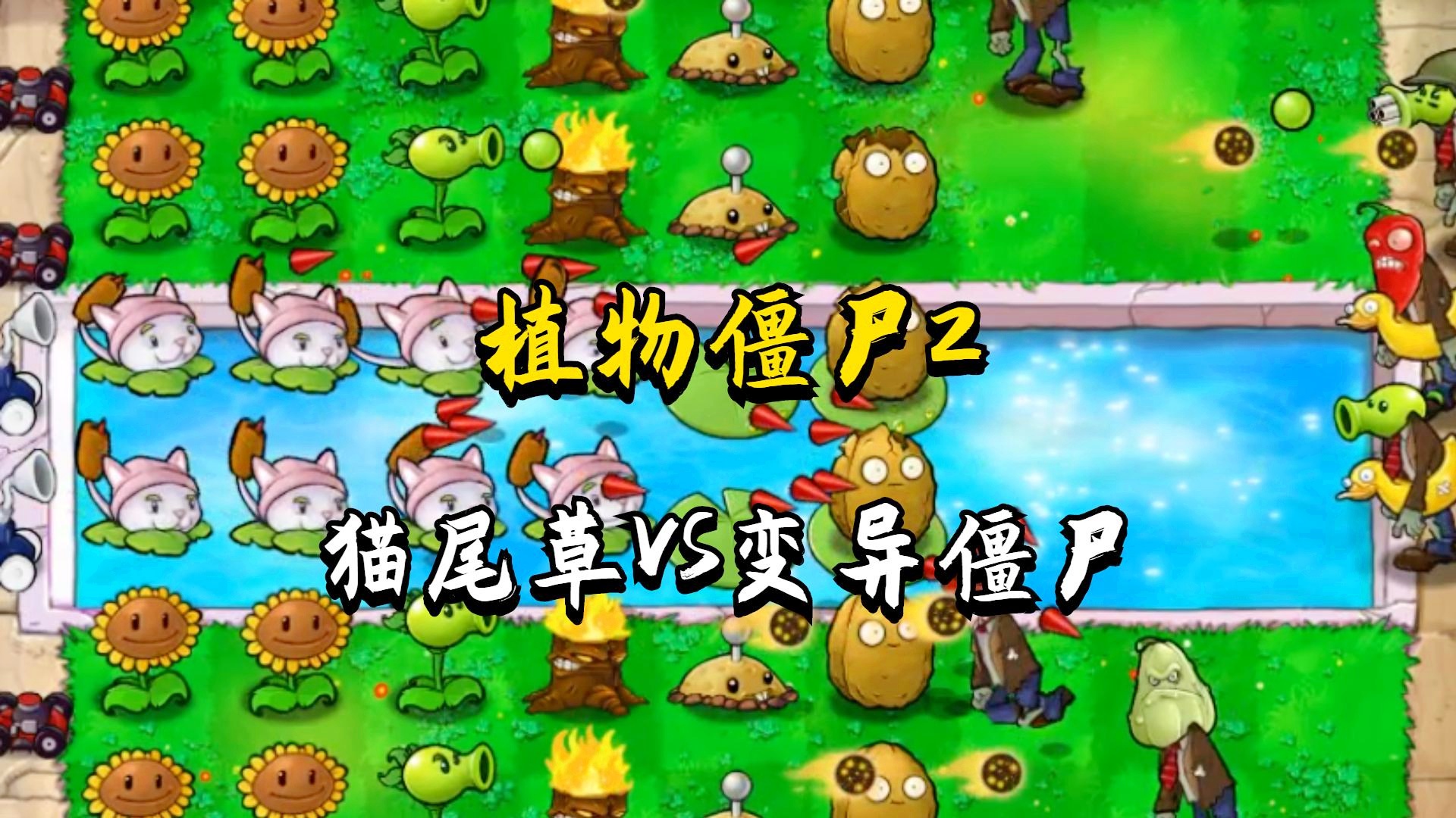 「植物大」(植物大战僵尸破解版下载) 「植物大」(植物大战僵尸破解版下载)