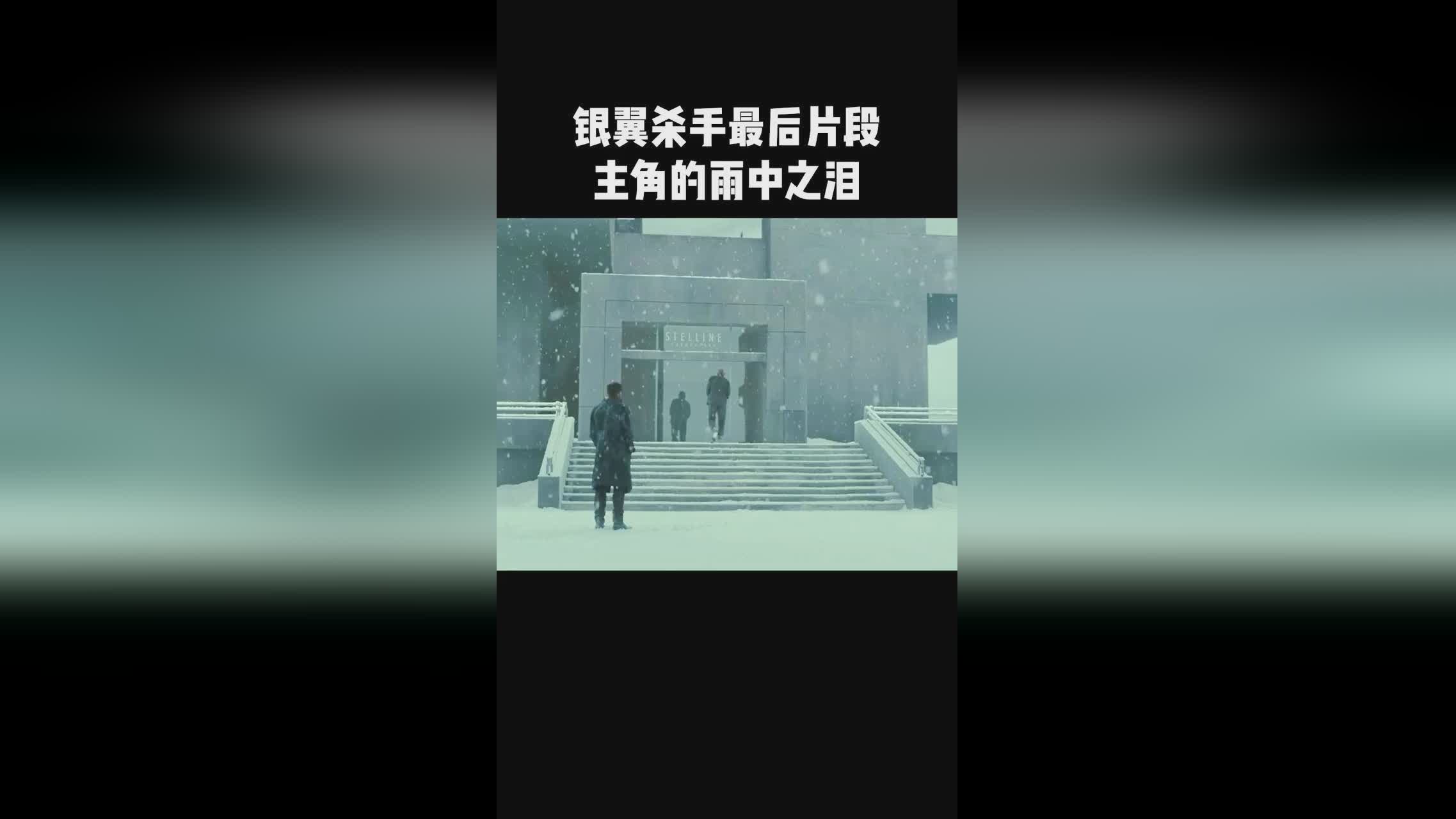 「银翼」(银翼杀手2049) 「银翼」(银翼杀手2049)