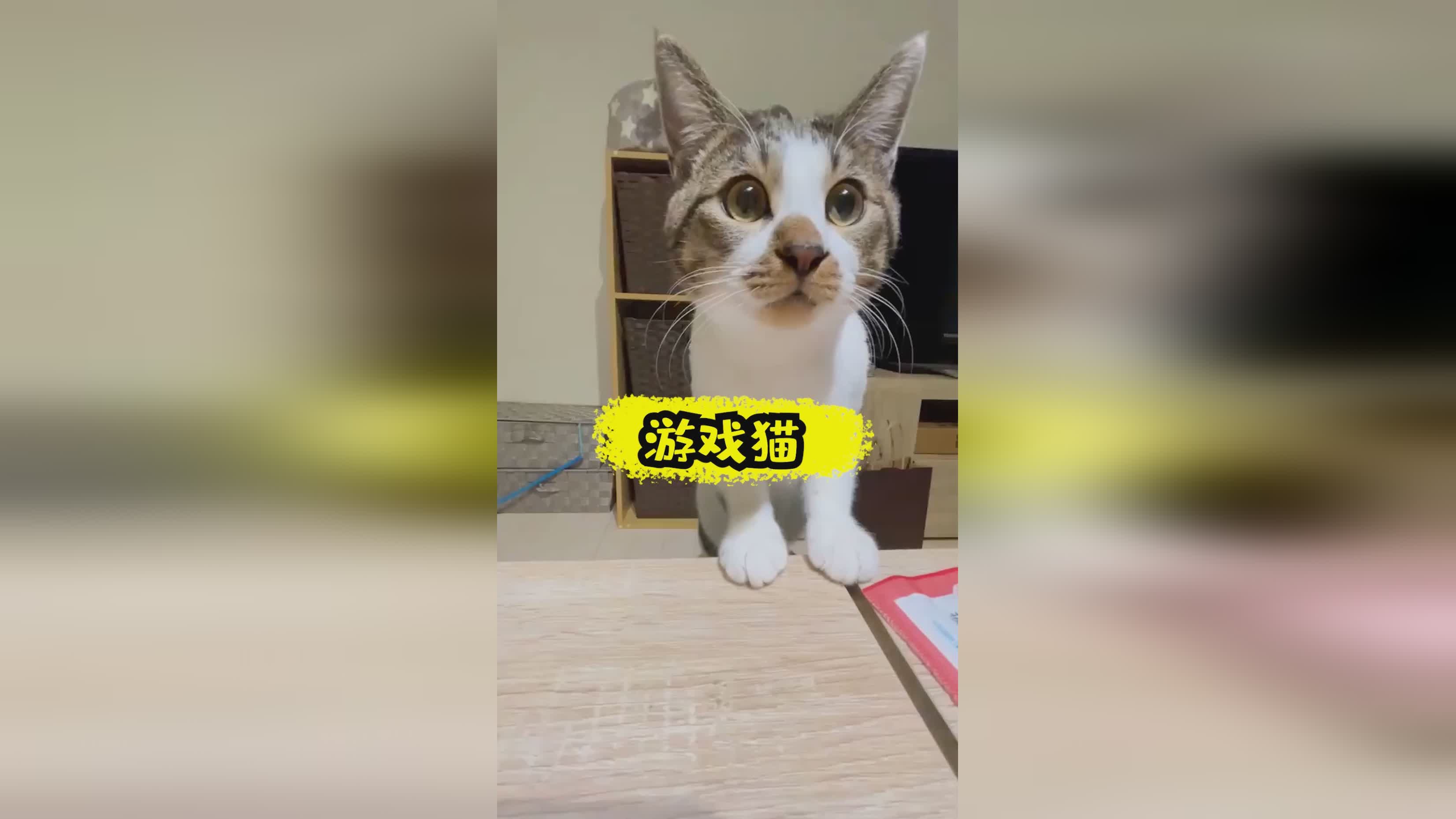 「挖矿小游戏」(挖矿小游戏在线玩) 「挖矿小游戏」(挖矿小游戏在线玩)