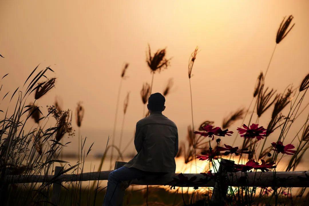 「阿米尔」(阿米尔追风筝的人)